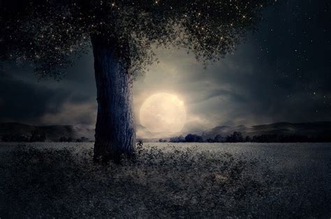 Night Landscape Tree Fairy · Free photo on Pixabay