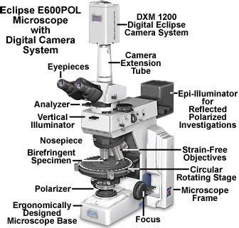 nikon microscope