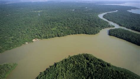 Nivel del río Amazonas en descenso | Inforegion