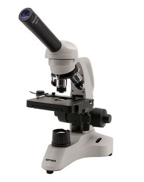 Nociones básicas sobre el Microscopio óptico — Raig