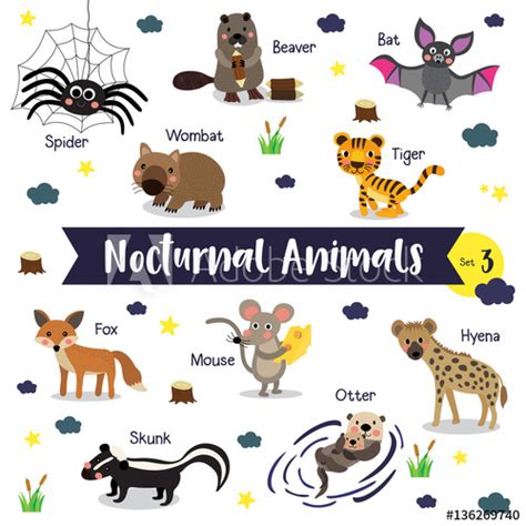 Nocturnal Animals cartoon on white background with animal ...