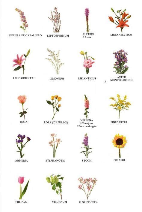 Nombre de flores Más Más | Types of flowers, Flower names, Birth month ...