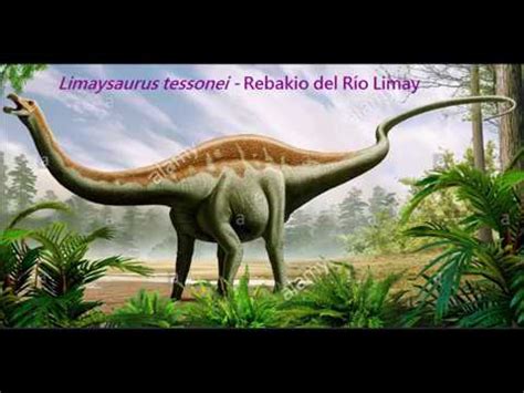 Nombres Comunes para Dinosaurios: 3. Saurisquios   YouTube