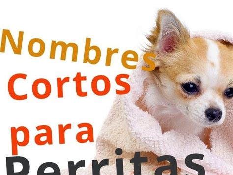 Nombres cortos para perros hembras   Mascotas   Taringa!