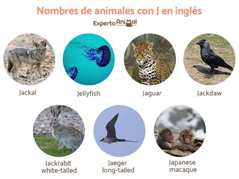 Nombres de animales con J en español y en inglés