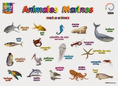 ¿Nombres de Animales en inglés? con Imágenes | Material ...