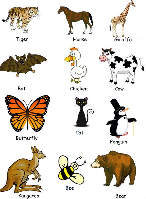 ¿Nombres de Animales en inglés? con Imágenes | Material ...