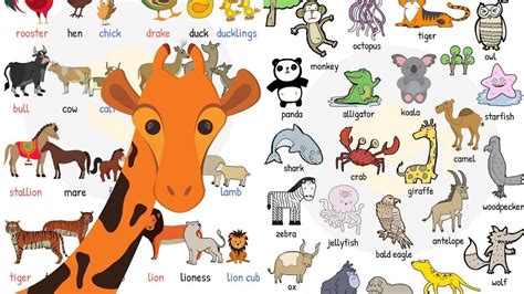 Nombres de animales que puedes ponerle a tus hijos