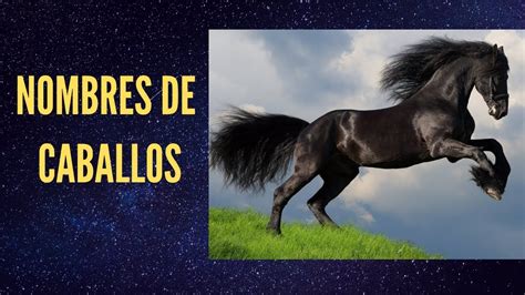 Nombres de Caballos Famosos  En Español    YouTube