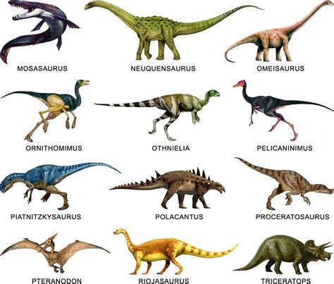 nombres de dinosaurios   Buscar con Google | Dinosaurios ...