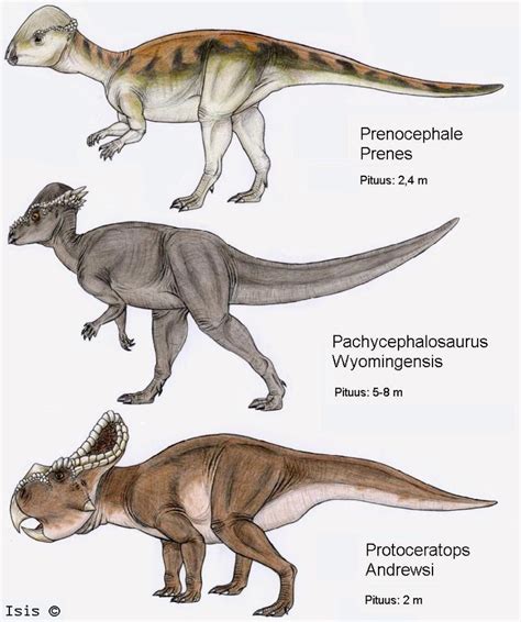 Nombres De Dinosaurios Carnivoros   SEONegativo.com