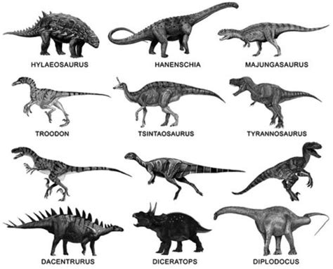 Nombres de dinosaurios de la A a la Z | www.dinosaurios.wiki