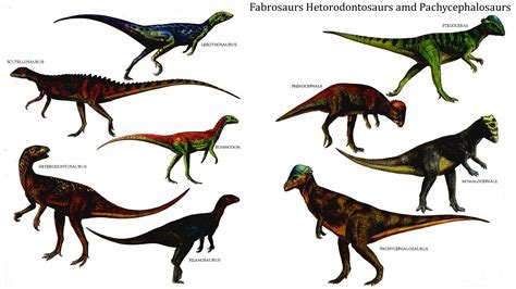 Nombres De Dinosaurios Herbivoros   SEONegativo.com