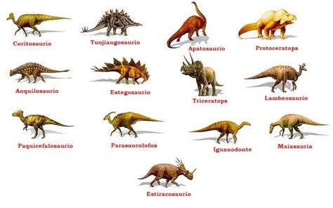 Nombres de dinosaurios, Tipos de dinosaurios, Dinosaurios imagenes