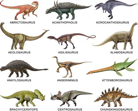 Nombres de dinosaurios, Tipos de dinosaurios, Dinosaurios
