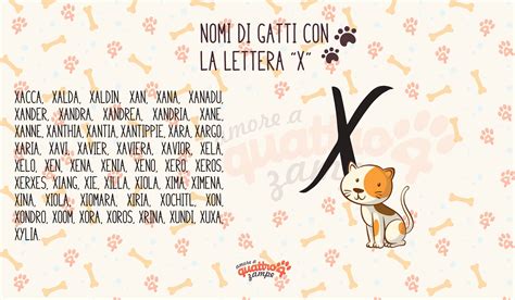 Nombres de gatos machos y hembras con X: elija entre más de 50 ideas ...