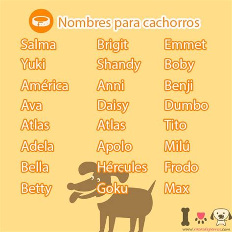 Nombres para cachorros   Razas de perros