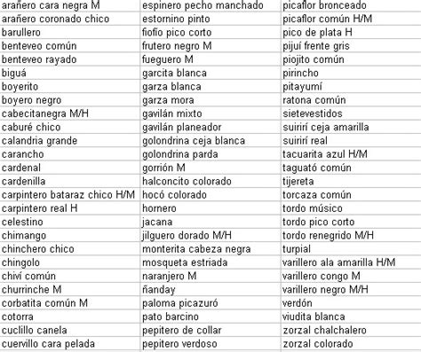 Nombres Para Canarios   SEONegativo.com