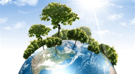 Normas para la Protección y Conservación del Medio Ambiente