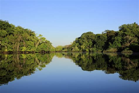 Noruega doará US$ 70 milhões ao Fundo Amazônia