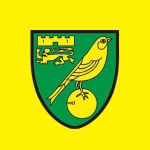 Norwich City reveal new kit for the 2019/2020 season ...