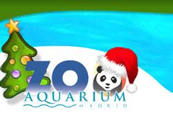nosolometro: Talleres de Navidad 2011/2012 en el Zoo de Madrid