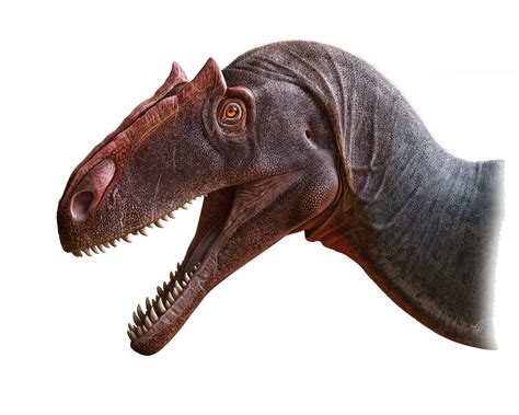 Notables nuevas especies de dinosaurios jurásicos ...