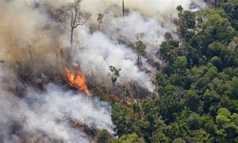 Noticias Ambientales Internacionales: La quema del ...