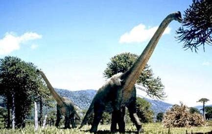 NOTICIAS CURIOSAS: Los dinosaurios murieron por sus pedos