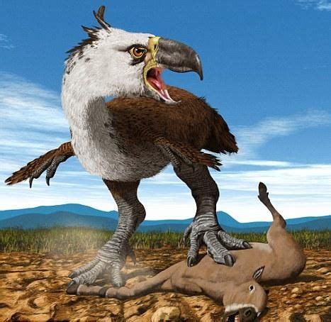 Noticias de Paleontologia: Andrewsornis abbotti, el ave del terror de ...