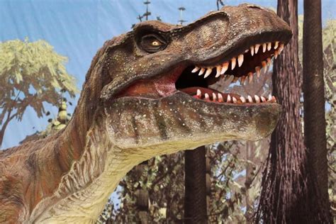 Noticias en Línea Conoce más sobre los dinosaurios en la ...