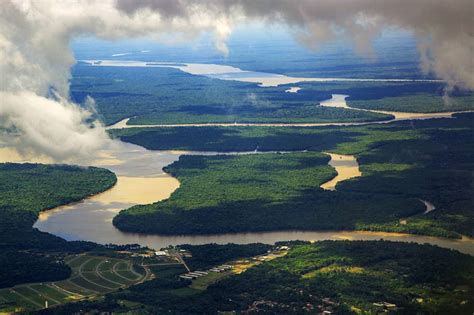 Notícias sobre Amazônia | EXAME