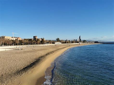 Nova Mar Bella Beach  Barcelona : UPDATED 2021 All You ...