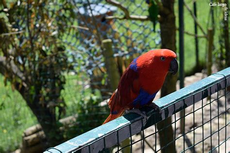 Núcleo Zoológico el Bosque, Oviedo  Asturias  | Café largo de ideas ...