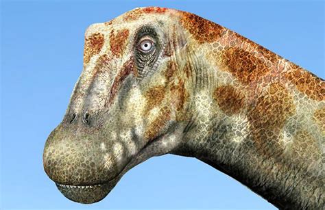 Nueva especie de dinosaurio fue descubierto en Chile