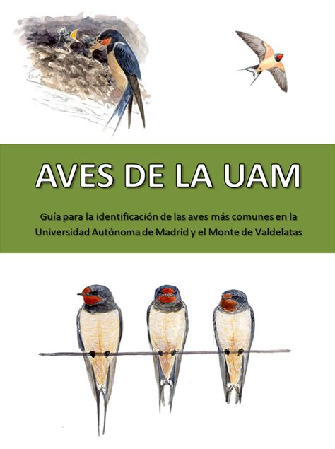 Nueva Guía de aves de la UAM | SEO Monticola
