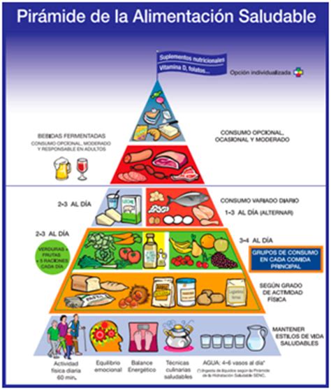 Nueva pirámide nutricional