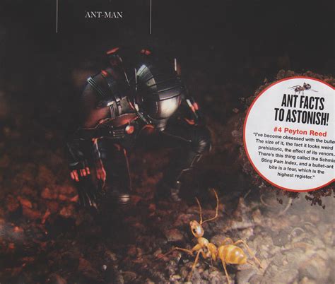 Nuevas imágenes de Ant Man: El Hombre Hormiga | Tomatazos