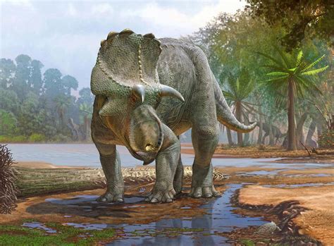 Nuevo dinosaurio con cuernos del Cretácico excavado en Nuevo México