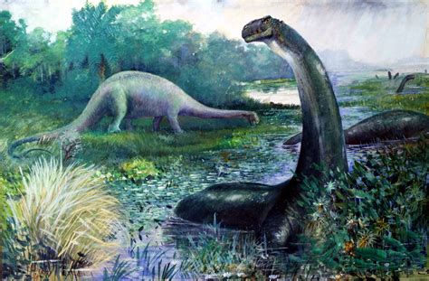 ¡Nuevo dinosaurio hallado en Argentina!   Muy Interesante