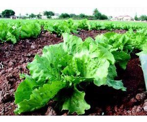 Nuevo plan de desarrollo de la agricultura ecológica en el ...