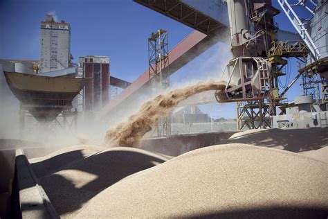 Nuevo récord en la exportación de harina de soja: superó los 6,5 ...