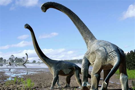 Nuevos dinosaurios descubiertos en Australia | Museo Nacional de ...