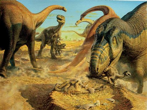 Nuevos fósiles ayudan a comprender la extinción de los ...