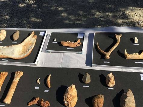 Nuevos restos fósiles en Atapuerca:  Es el hallazgo más importante en años