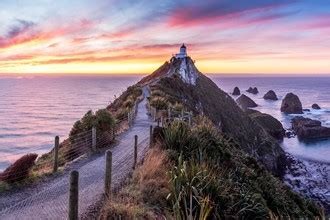 Nugget Point Lighthouse | Clutha, New Zealand