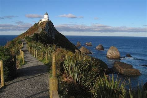 Nugget Point Lighthouse, New Zealand | Amusing Planet