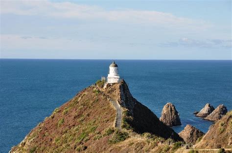 Nugget Point Lighthouse, New Zealand | Amusing Planet
