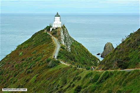 Nugget Point Lighthouse New Zealand | Budget Travel Talk