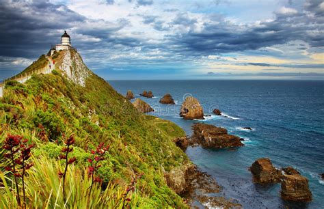 Nugget Point Lighthouse, New Zealand Stock Photo   Image ...